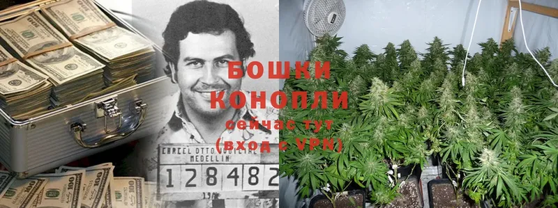 как найти наркотики  Гдов  Бошки марихуана THC 21% 